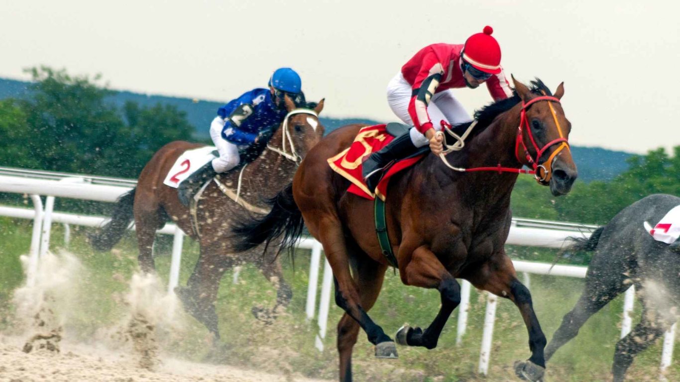 Horse Racing Events in Galway near the Claregalway hotel