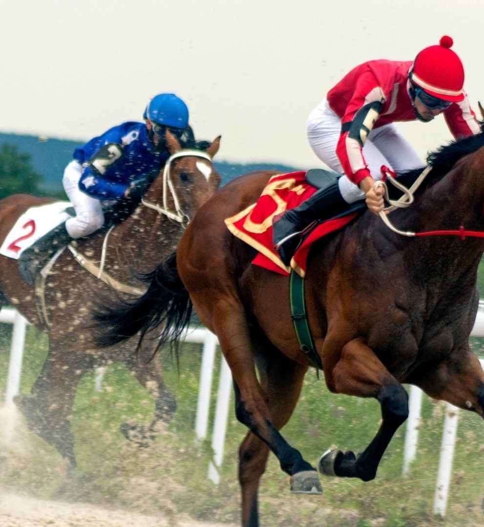 Galway Races Events in Galway Claregalway Hotel