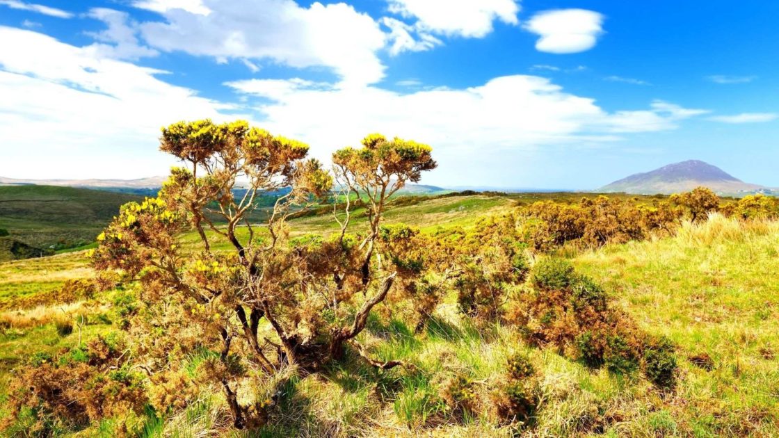 Connemara national park