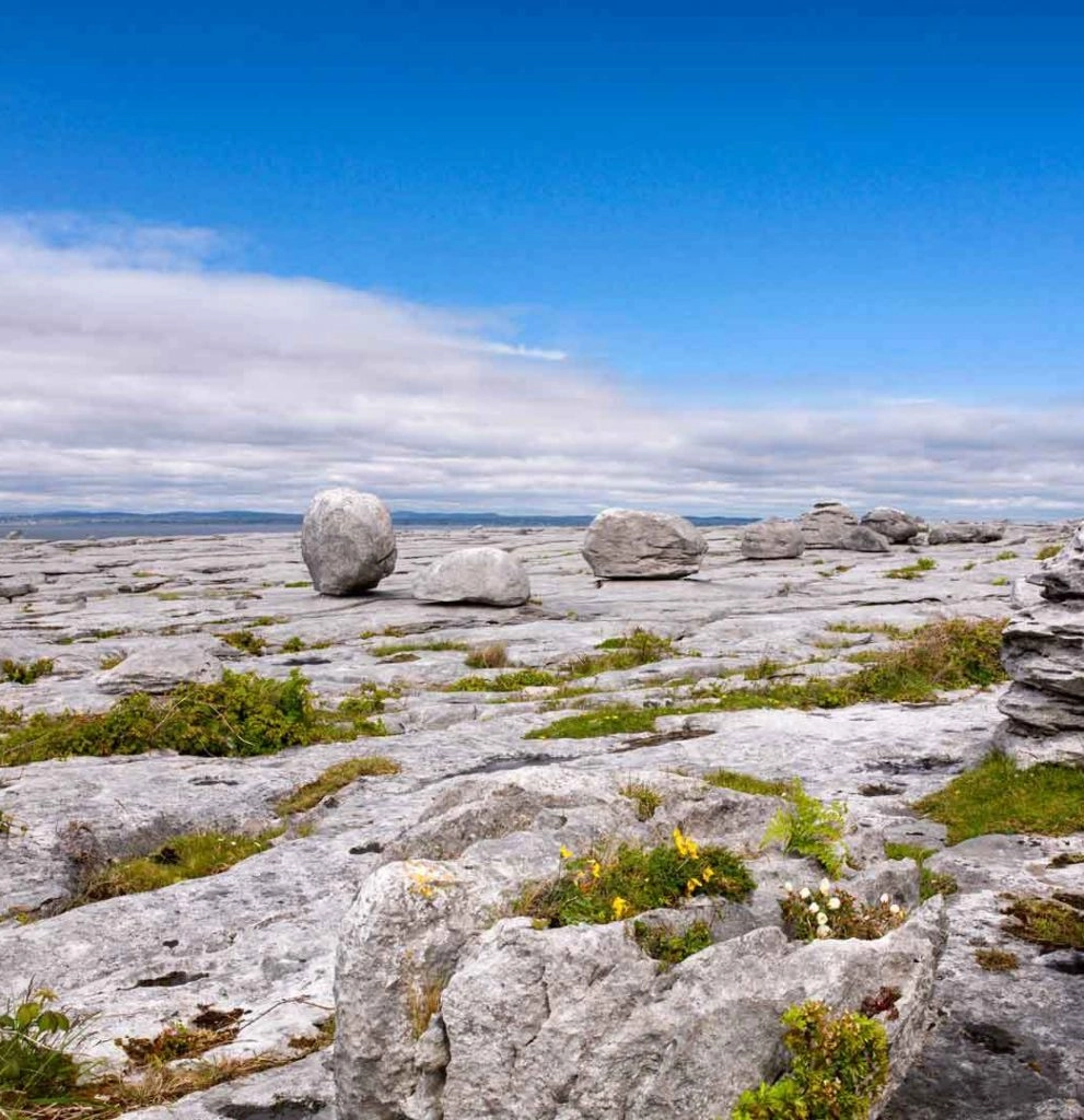 burren national park tours