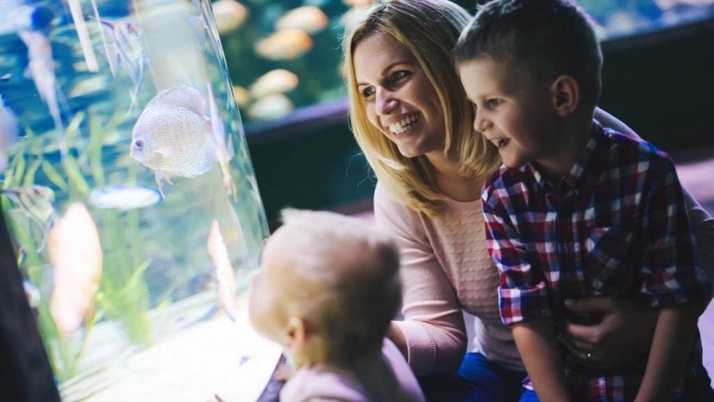 family aquarium claregalway
