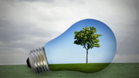 Claregalway 50 SHADES GREENER PAGE