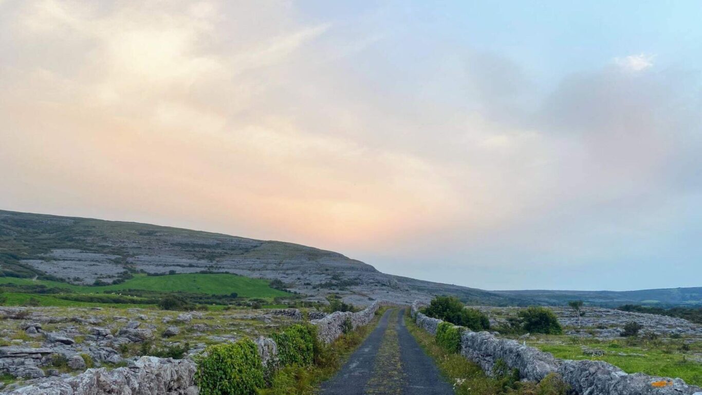 Ballyvaughan Wood Loop, Ballyvaughan, Burren National Park, Co Clare Irelands Content Pool CGH