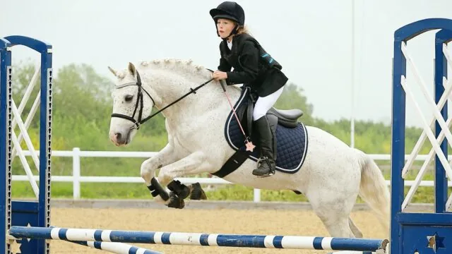 Connemara Pony Jumping