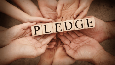 Pledge