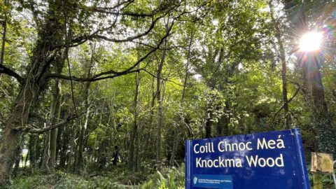 Knockma-Hill-Walk3